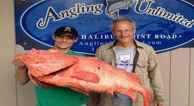 Ikan Langka Raksasa Berusia 2 Abad Berhasil ditangkap di Alaska