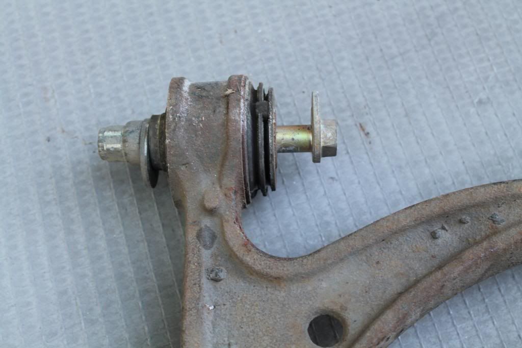  photo IMG_3416_zps1c9bc2d0.jpg