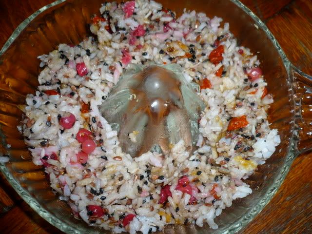 will birds eat sesame seeds will birds eat sesame seeds