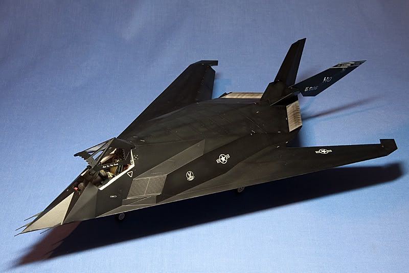 08-TamiyaF-117AKnighthawk.jpg