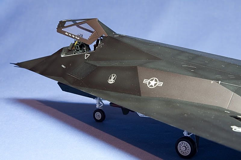 24-TamiyaF-117AKnighthawk.jpg