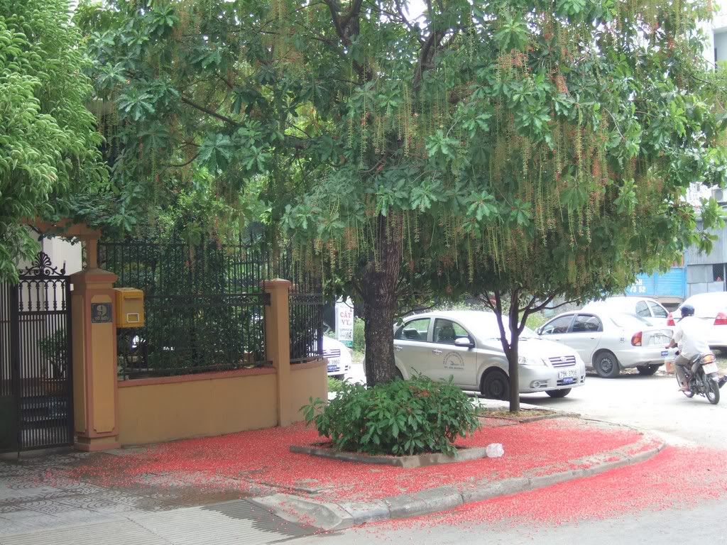 Lối vào Đại Nội 3