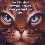 Hawkfrost Pictures, Images and Photos