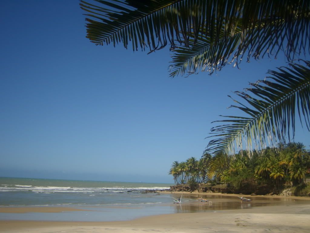 Vivir en Brasil - Foro América del Sur