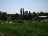 faraway twin building, Botanic Gardenã��of Hryshko in Kiev