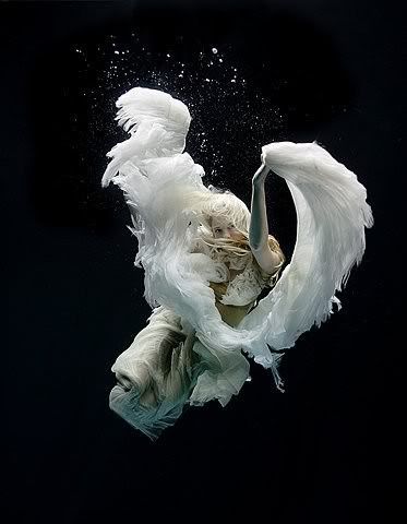 zena holloway,underwater