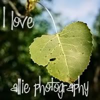 allie photography