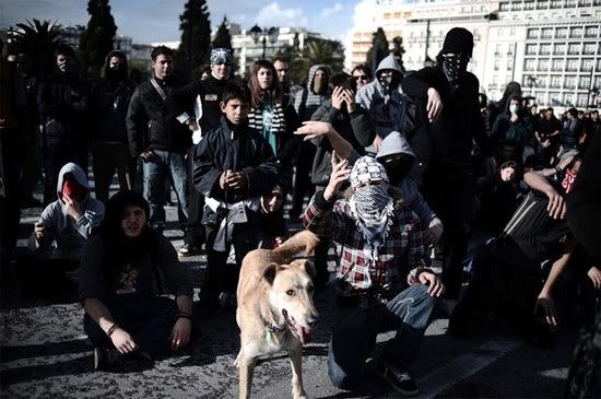 anarchist dog