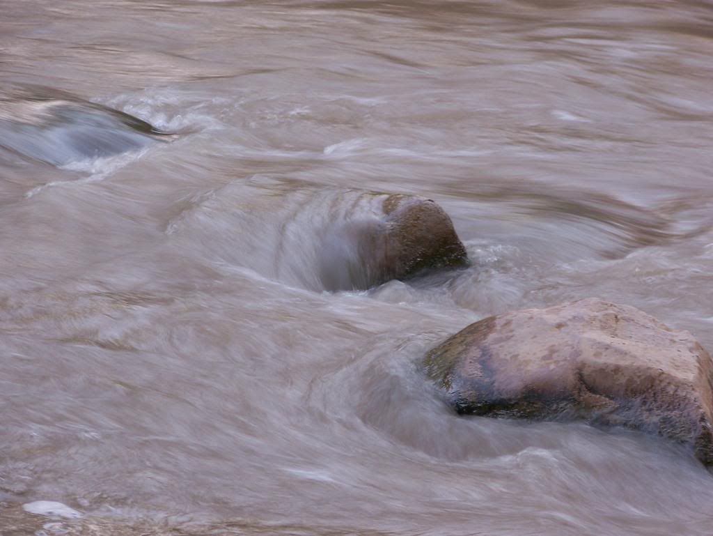 IMAGE: http://i1015.photobucket.com/albums/af280/Spammey/100_2902_zpse8d853db.jpg