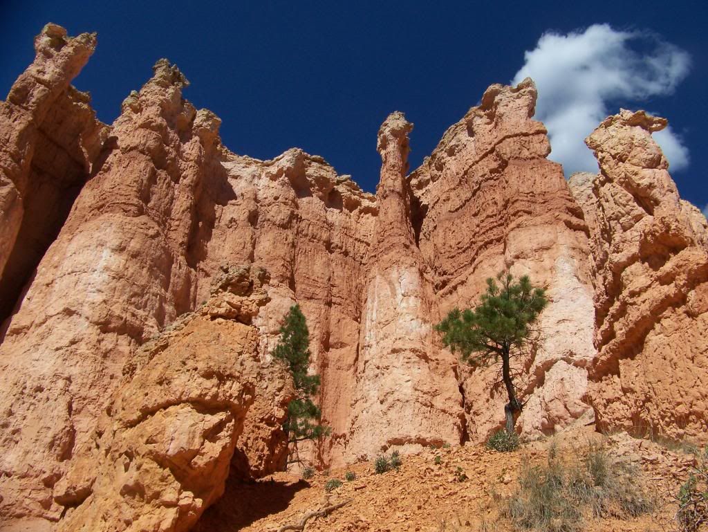 IMAGE: http://i1015.photobucket.com/albums/af280/Spammey/100_3591_zps9f1eb6a7.jpg