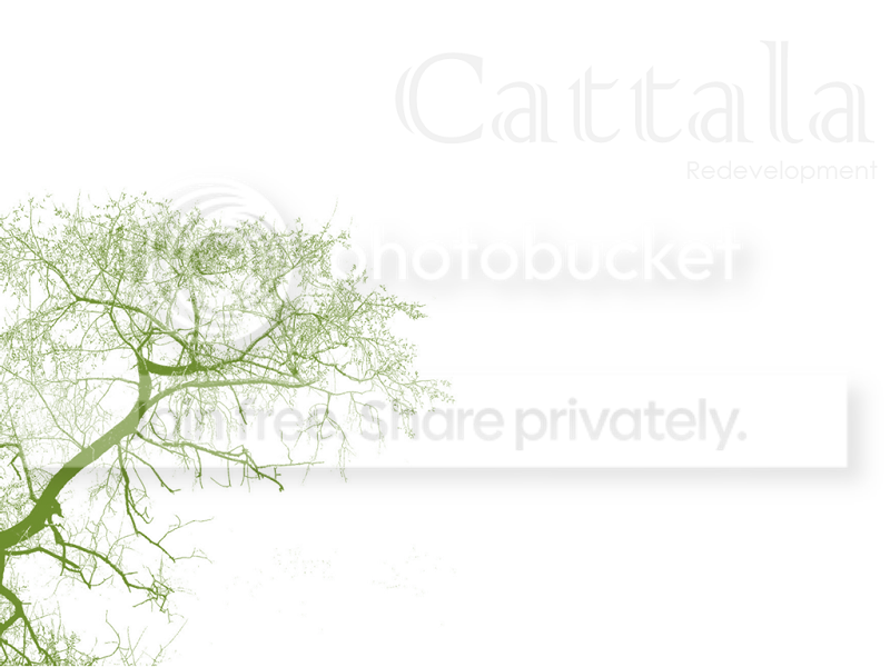 rootandbranch.png